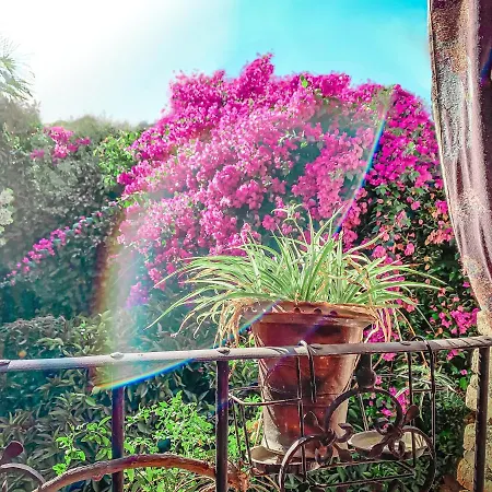El Portalon Country house Logrosan